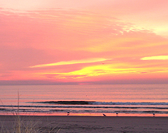 ocean city nj beach